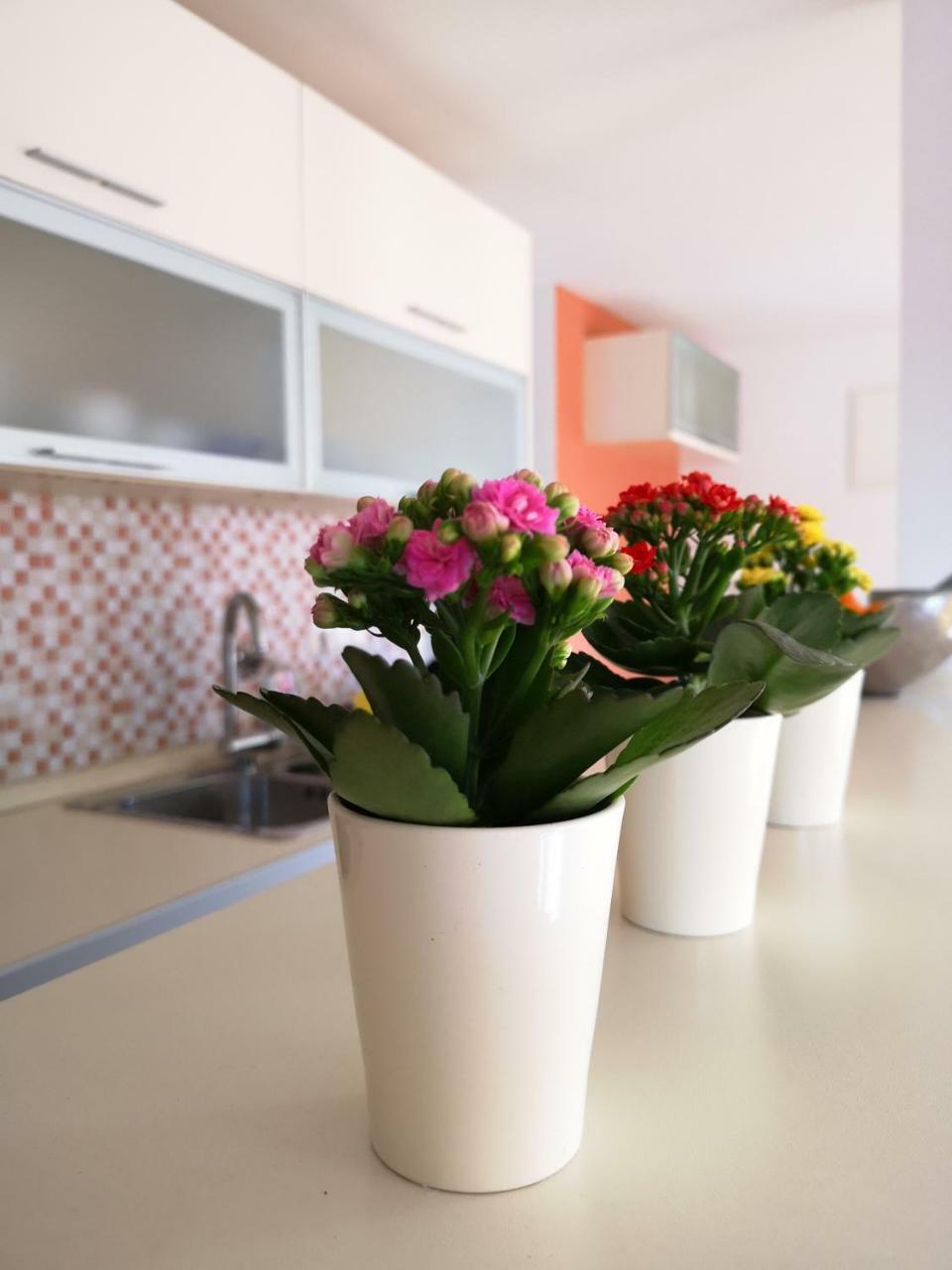 Apartamento Krakovo Center